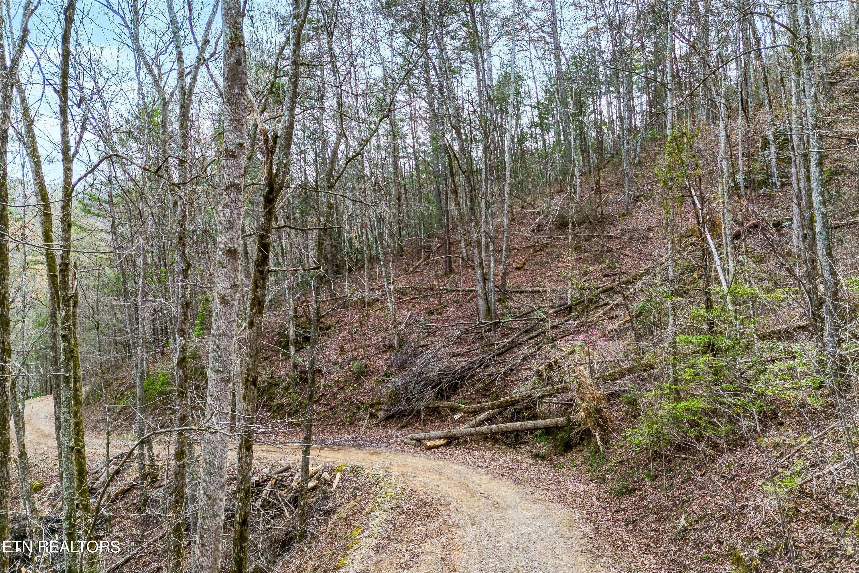 Lot 20 Meadow View Road Sevierville, TN 37862 - Photo 1 of 20 01-Meadow View Rd Lot 20-1