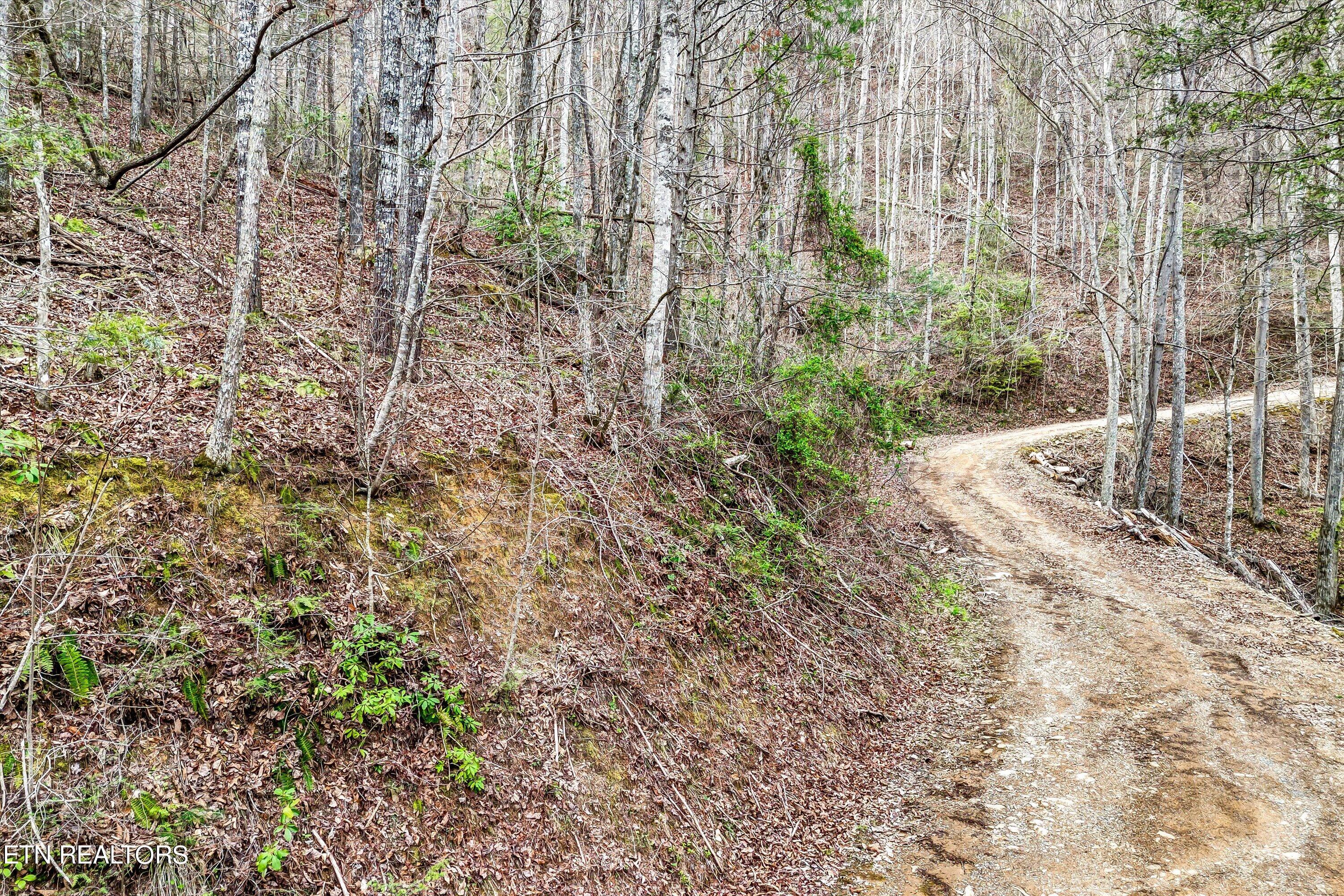 Lot 20 Meadow View Road Sevierville, TN 37862 - Photo 2 of 20 02-Meadow View Rd Lot 20-2