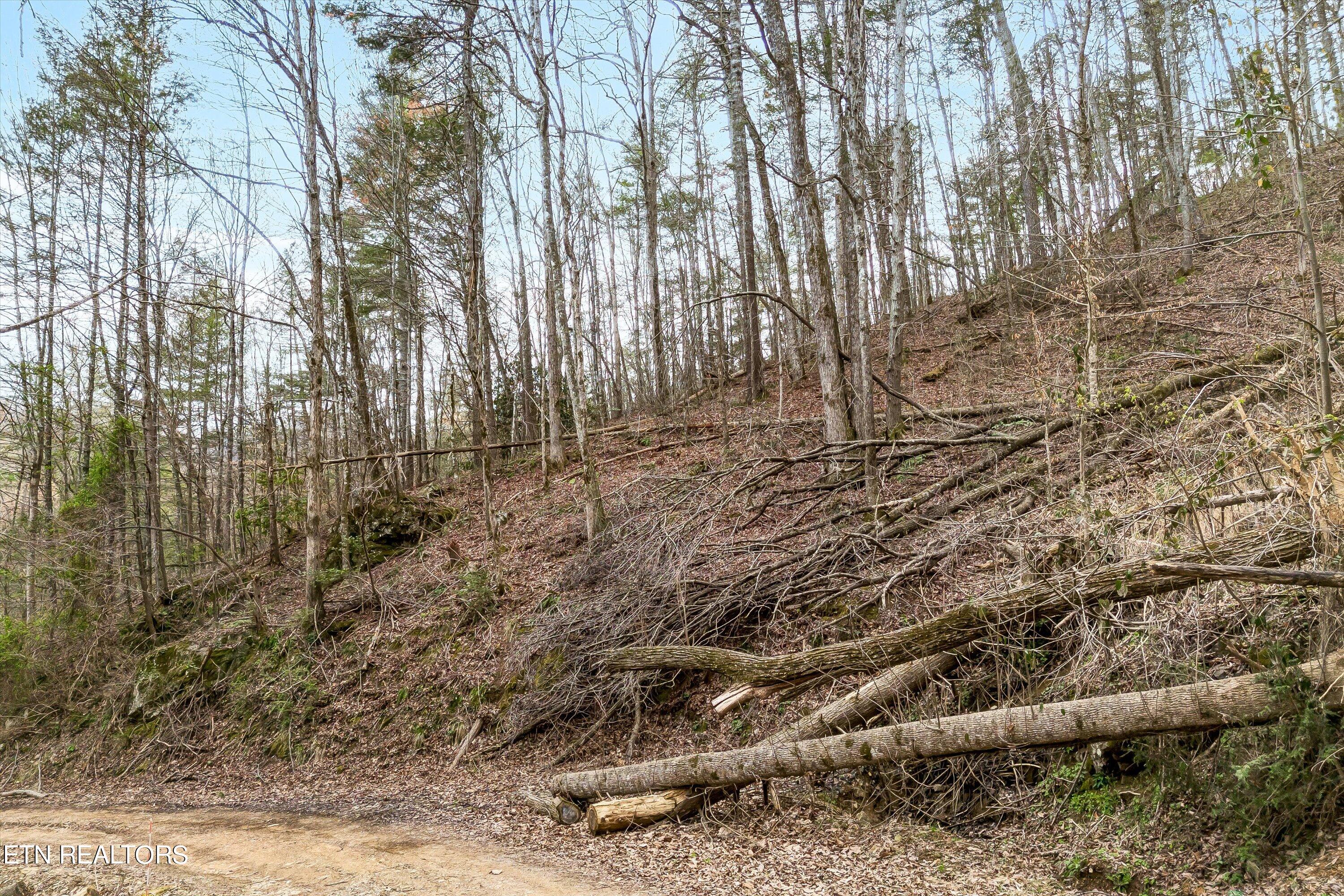 Lot 20 Meadow View Road Sevierville, TN 37862 - Photo 3 of 20 03-Meadow View Rd Lot 20-3
