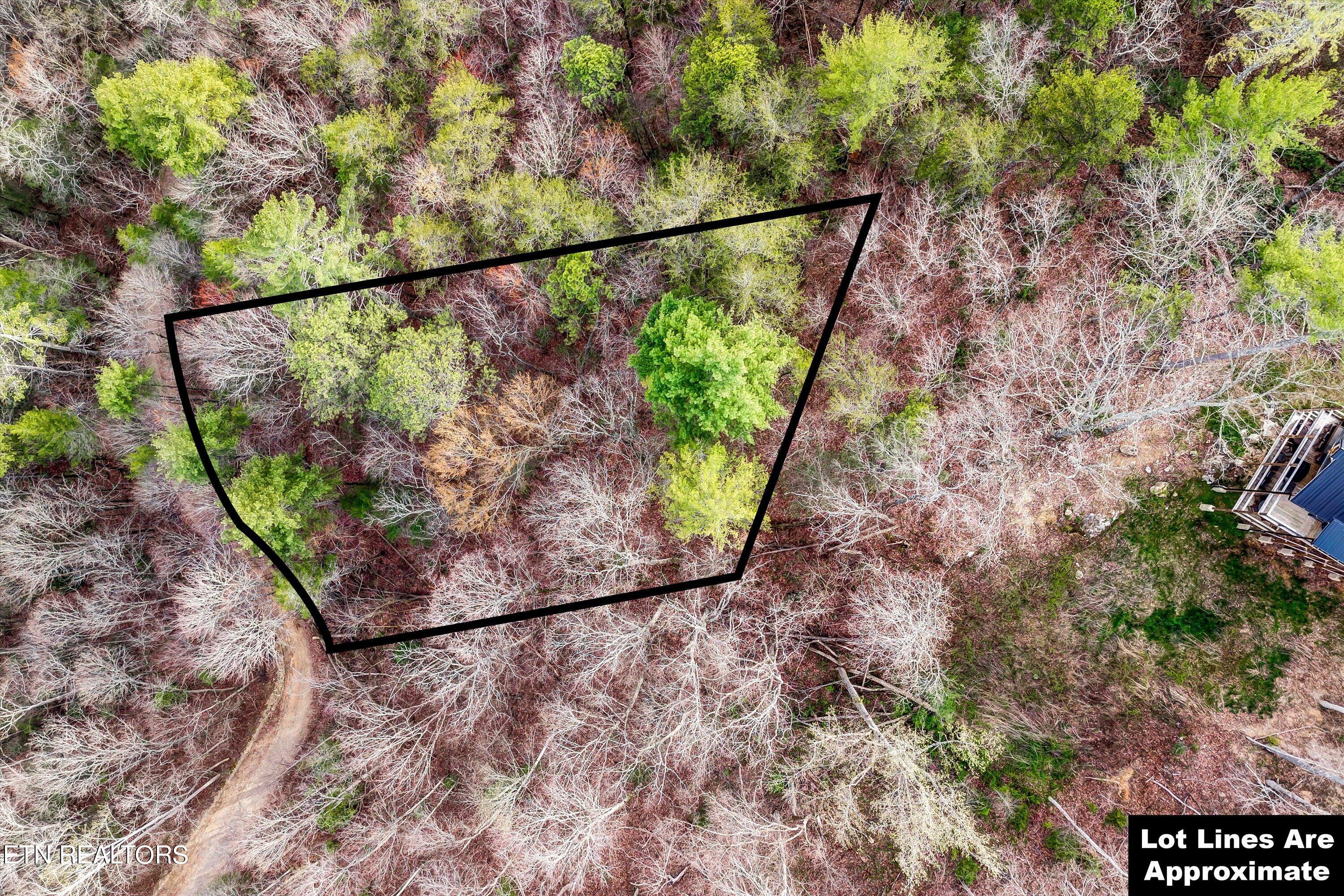 Lot 20 Meadow View Road Sevierville, TN 37862 - Photo 4 of 20 04-Meadow View Rd Lot 20-4