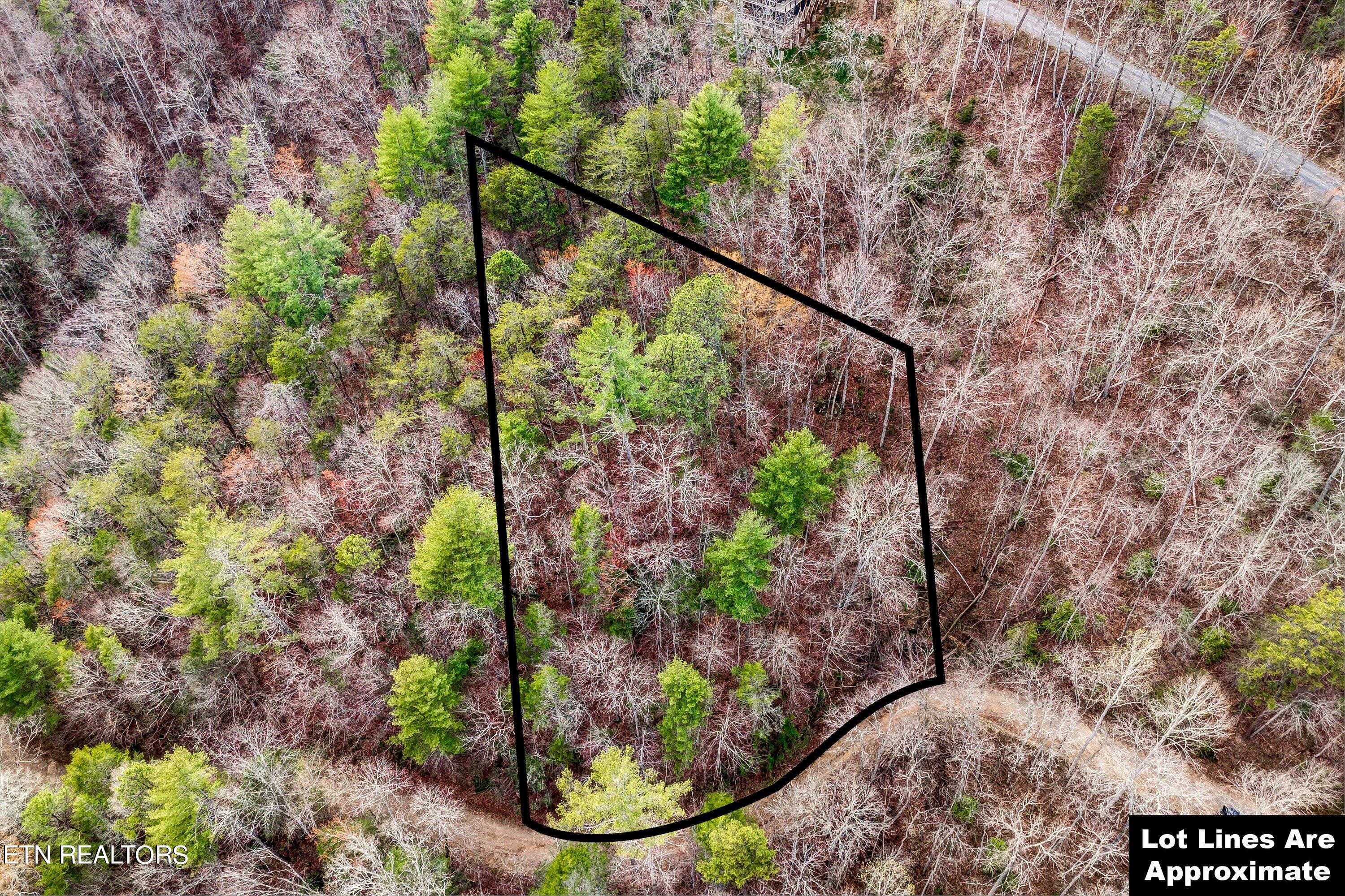 Lot 20 Meadow View Road Sevierville, TN 37862 - Photo 5 of 20 06-Meadow View Rd Lot 20-6