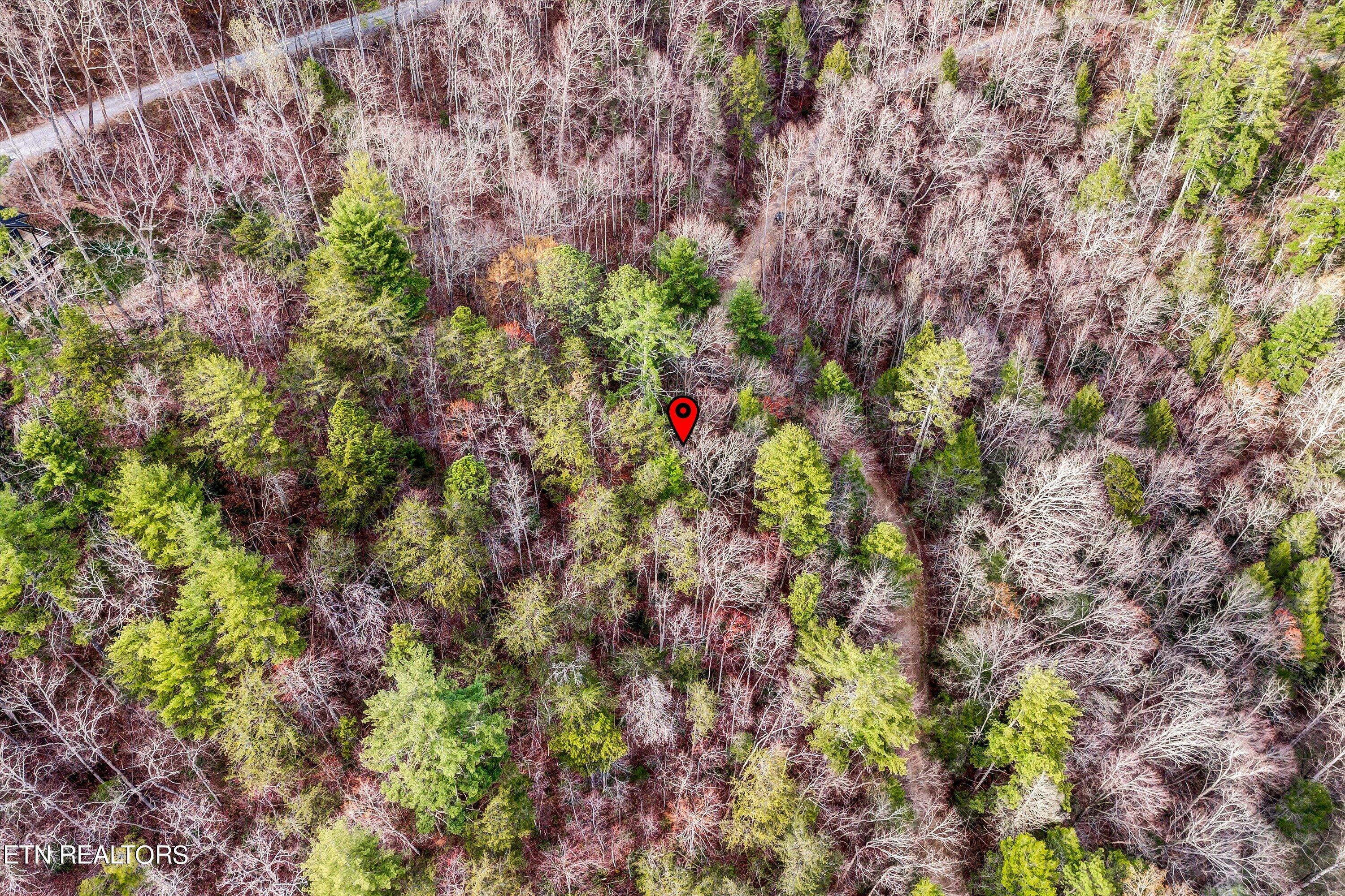 Lot 20 Meadow View Road Sevierville, TN 37862 - Photo 7 of 20 10-Meadow View Rd Lot 20-10