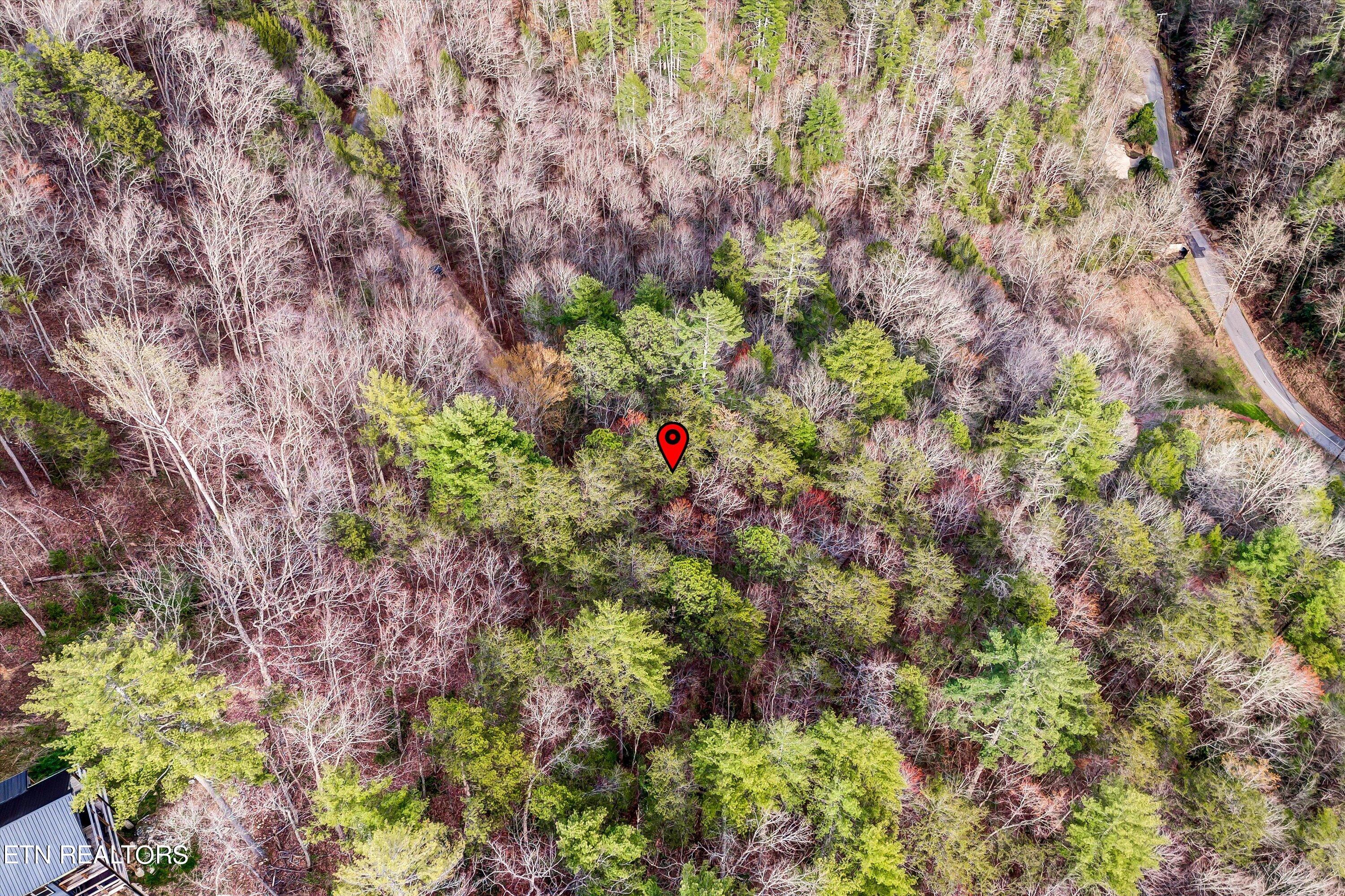 Lot 20 Meadow View Road Sevierville, TN 37862 - Photo 8 of 20 12-Meadow View Rd Lot 20-12