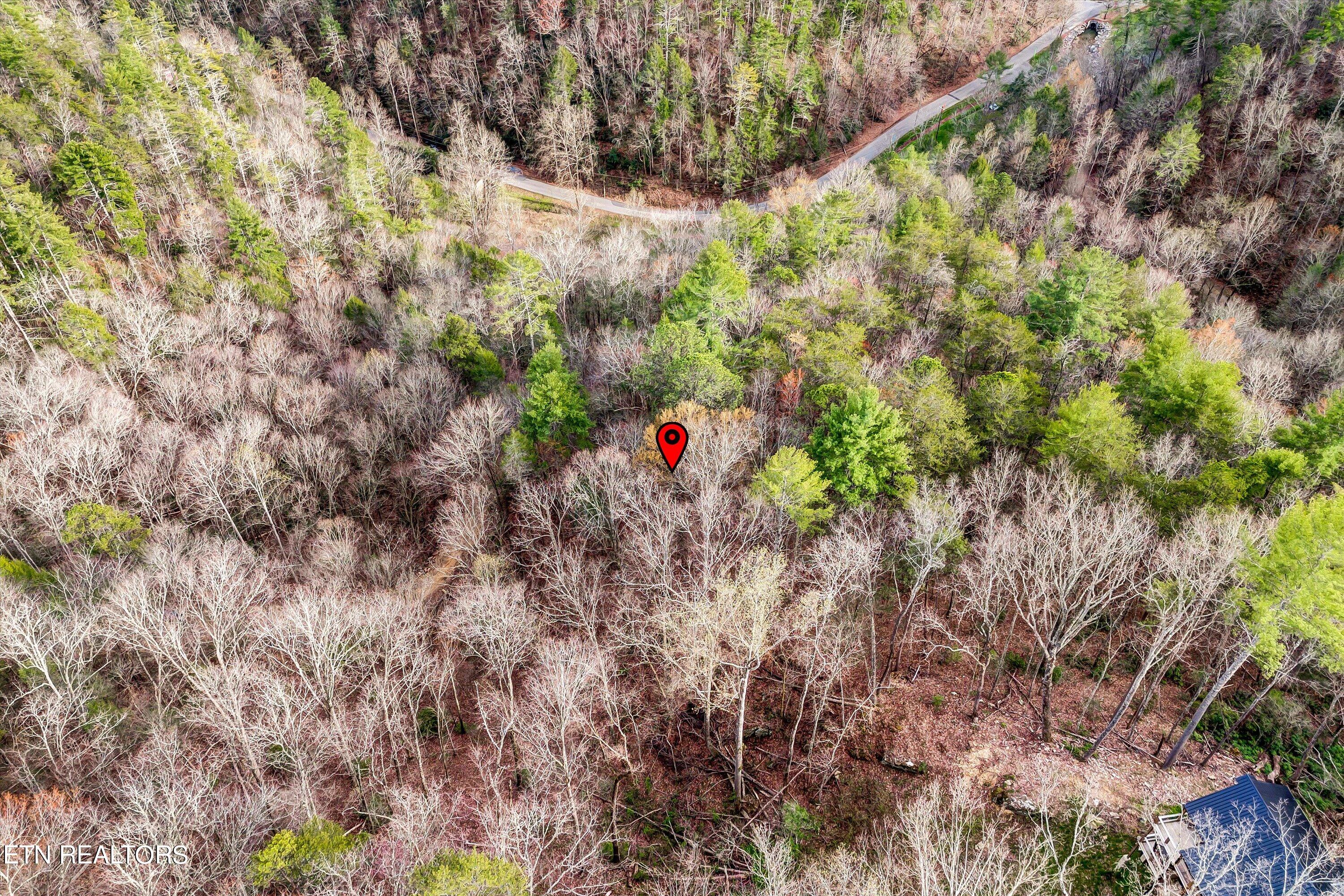 Lot 20 Meadow View Road Sevierville, TN 37862 - Photo 9 of 20 14-Meadow View Rd Lot 20-14