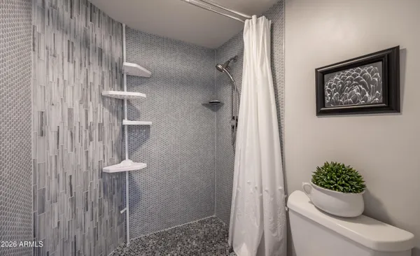 a bathroom with a toilet and a shower