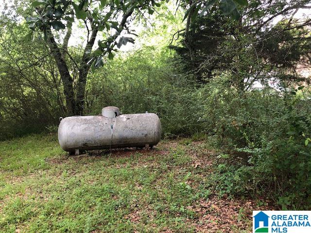6283 Highway 119 Montevallo, AL 35115 - Photo 31 of 33