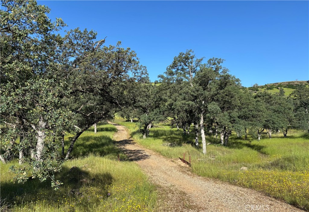 0 Cobble Creek Road Oroville, CA 95965 - Photo 49 of 55 Potential Access from Cobble Creek to Property