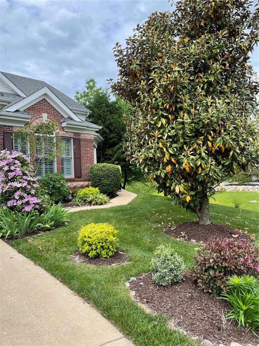 10135 Tanbridge Road St. Louis, MO 63128 - Photo 6 of 49 Gallery Image 6