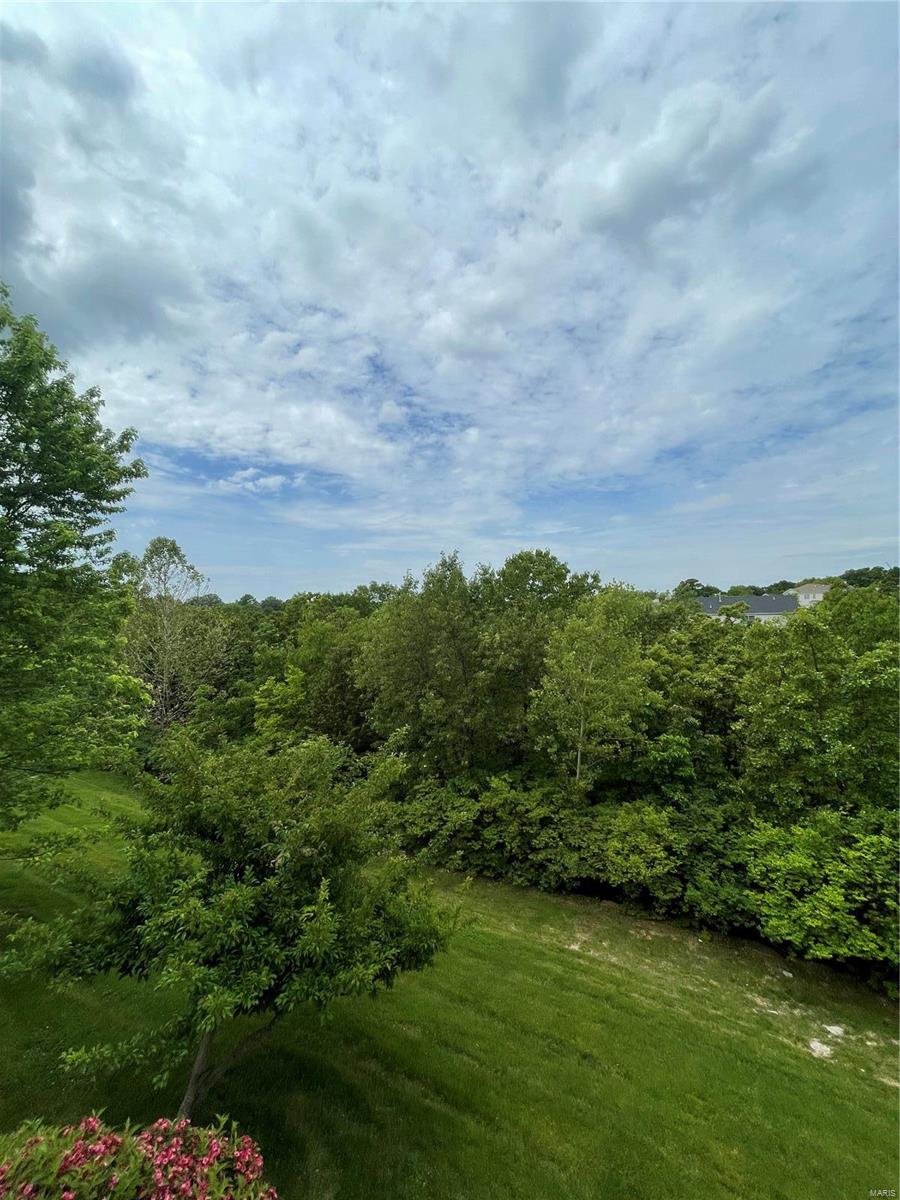 10135 Tanbridge Road St. Louis, MO 63128 - Photo 7 of 49 Gallery Image 7