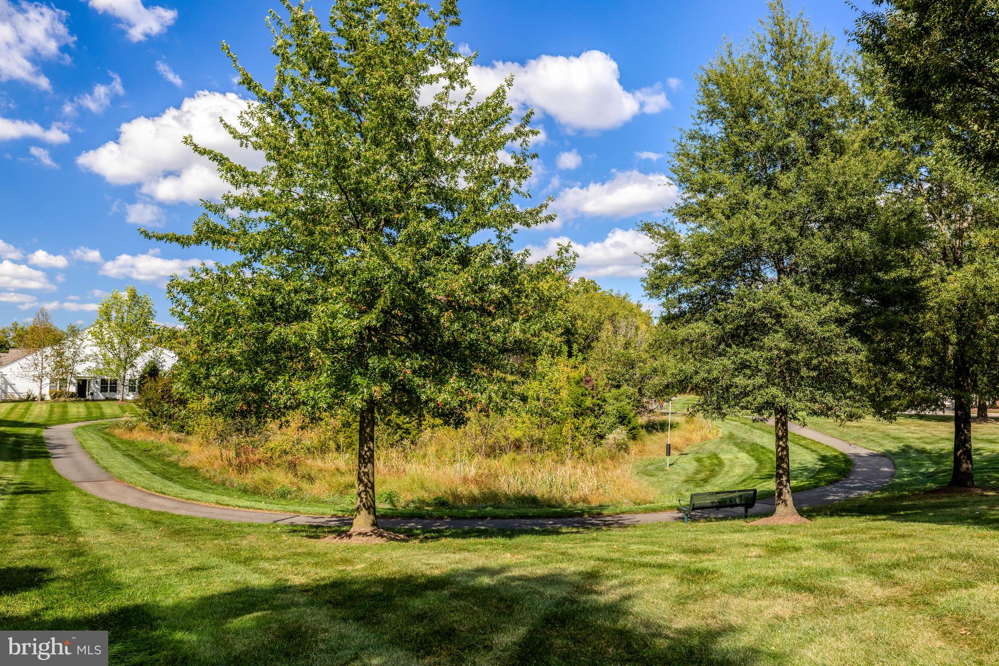 44482 Maltese Falcon Square Ashburn, VA 20147 - Photo 51 of 71 a view of a yard with an tree