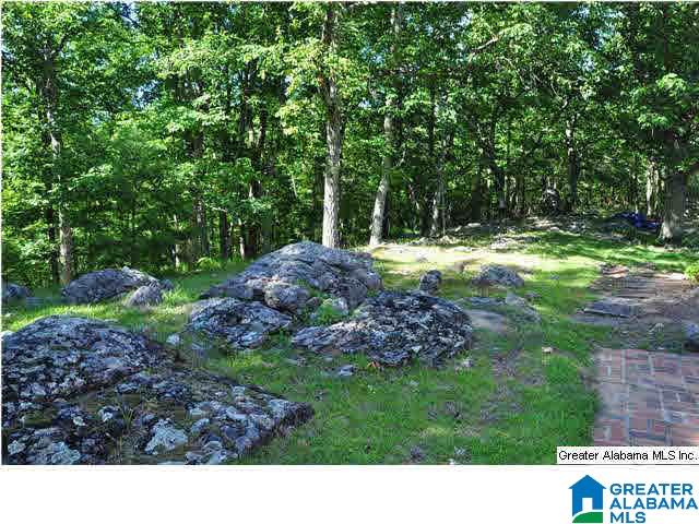 318 Ridgeview Lake Road Alabaster, AL 35007 - Photo 23 of 31