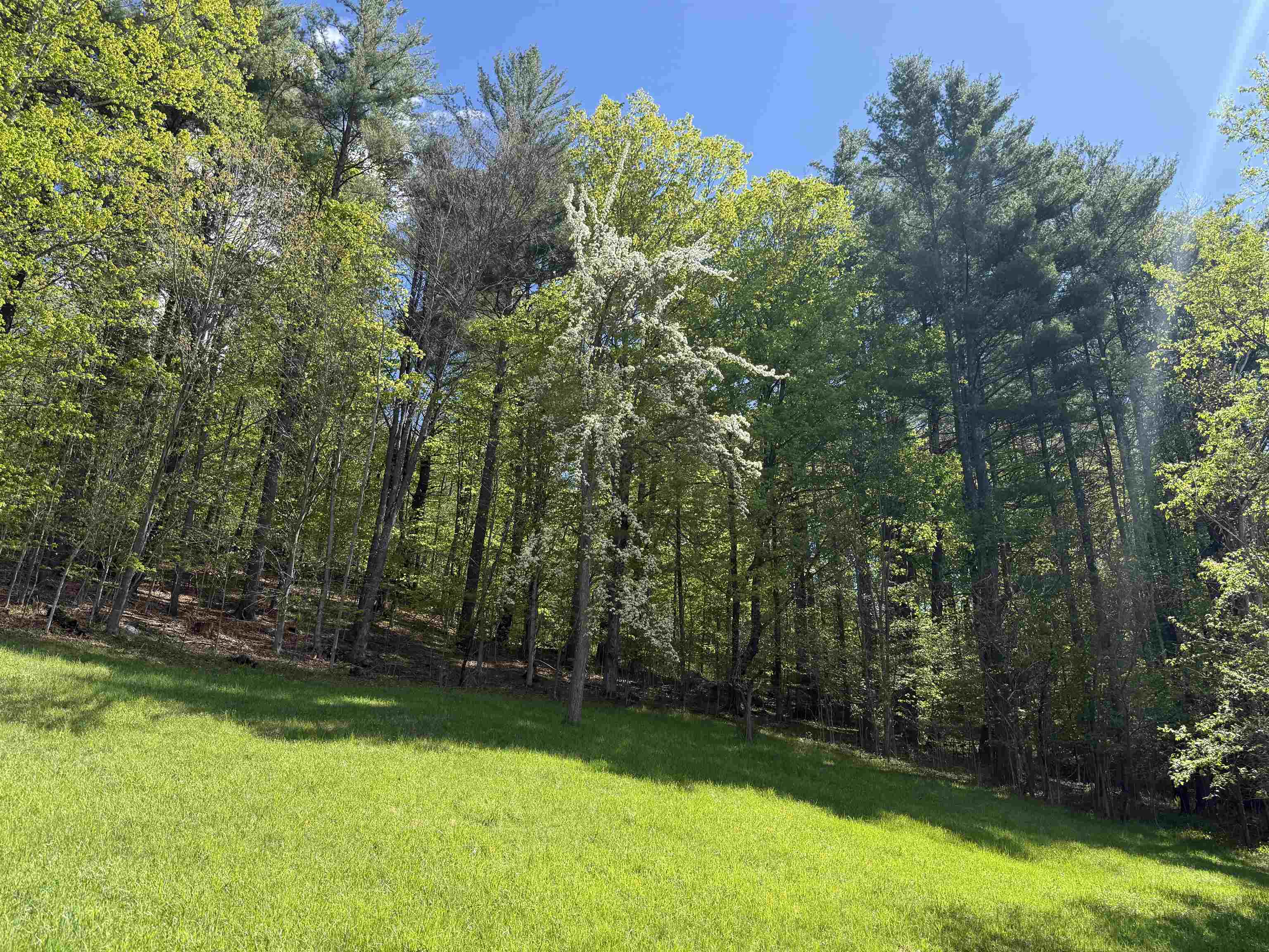 2416 Stage Road Guilford, VT 05301 - Photo 14 of 45