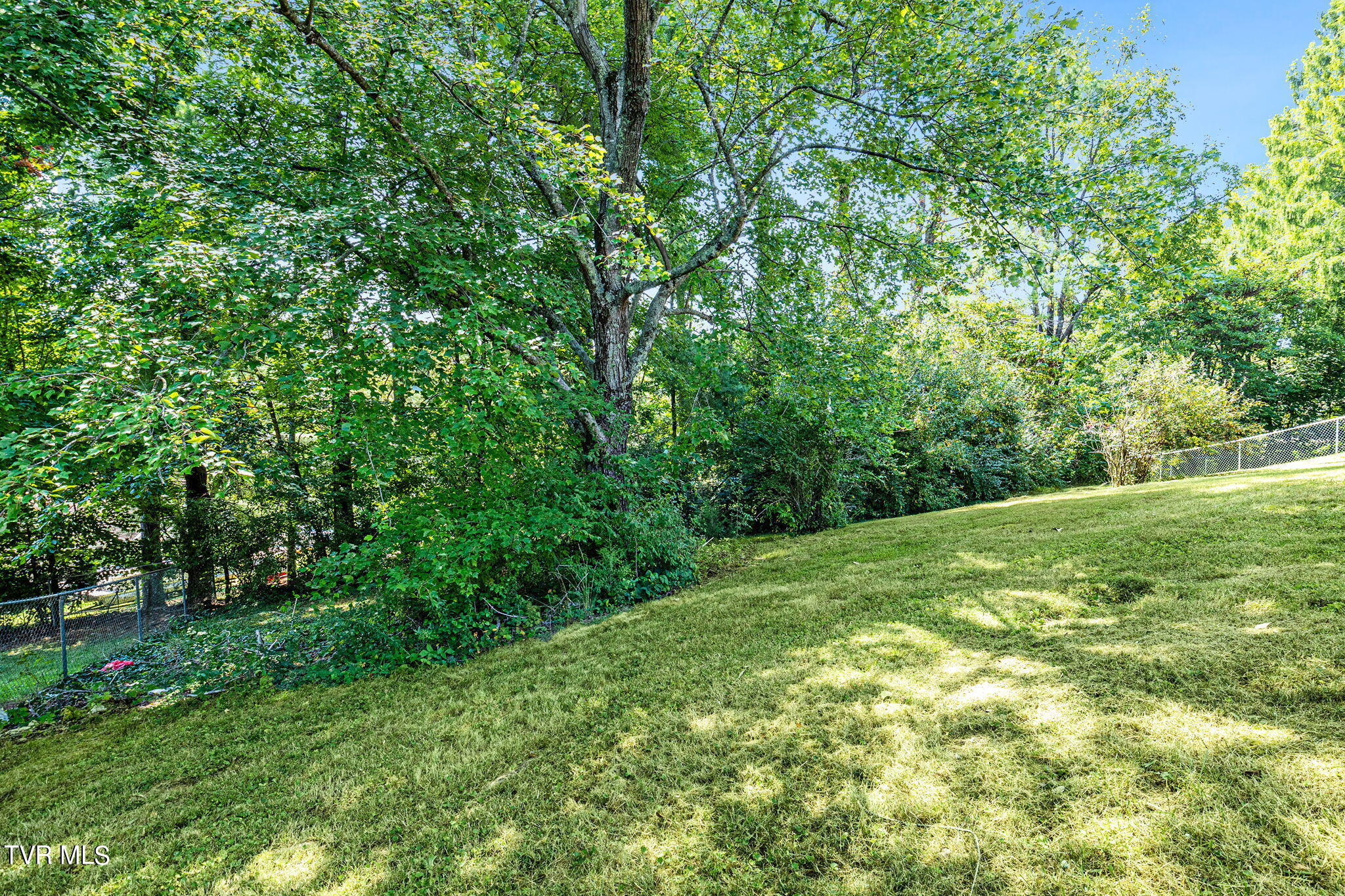 413 Merman Road Kingsport, TN 37663 - Photo 11 of 37 14-web-or-mls-IMG_2547