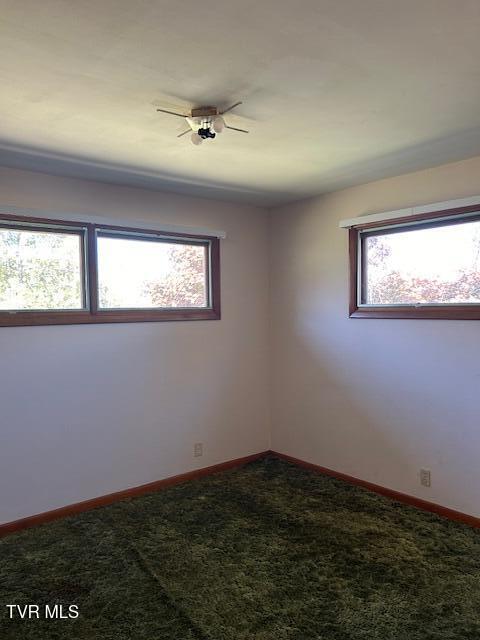 413 Merman Road Kingsport, TN 37663 - Photo 29 of 37 IMG_5533