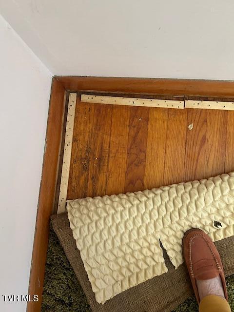 413 Merman Road Kingsport, TN 37663 - Photo 33 of 37 IMG_5537