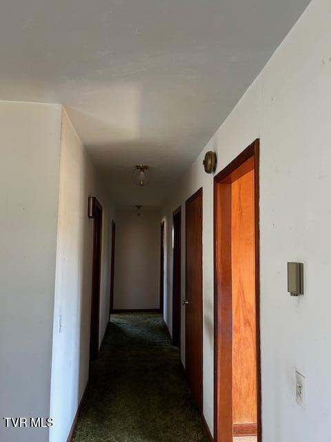 413 Merman Road Kingsport, TN 37663 - Photo 36 of 37 IMG_5540