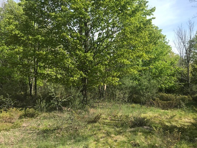 Lot 2 West Meadow Road Fish Creek, WI 54212 - Photo 26 of 40