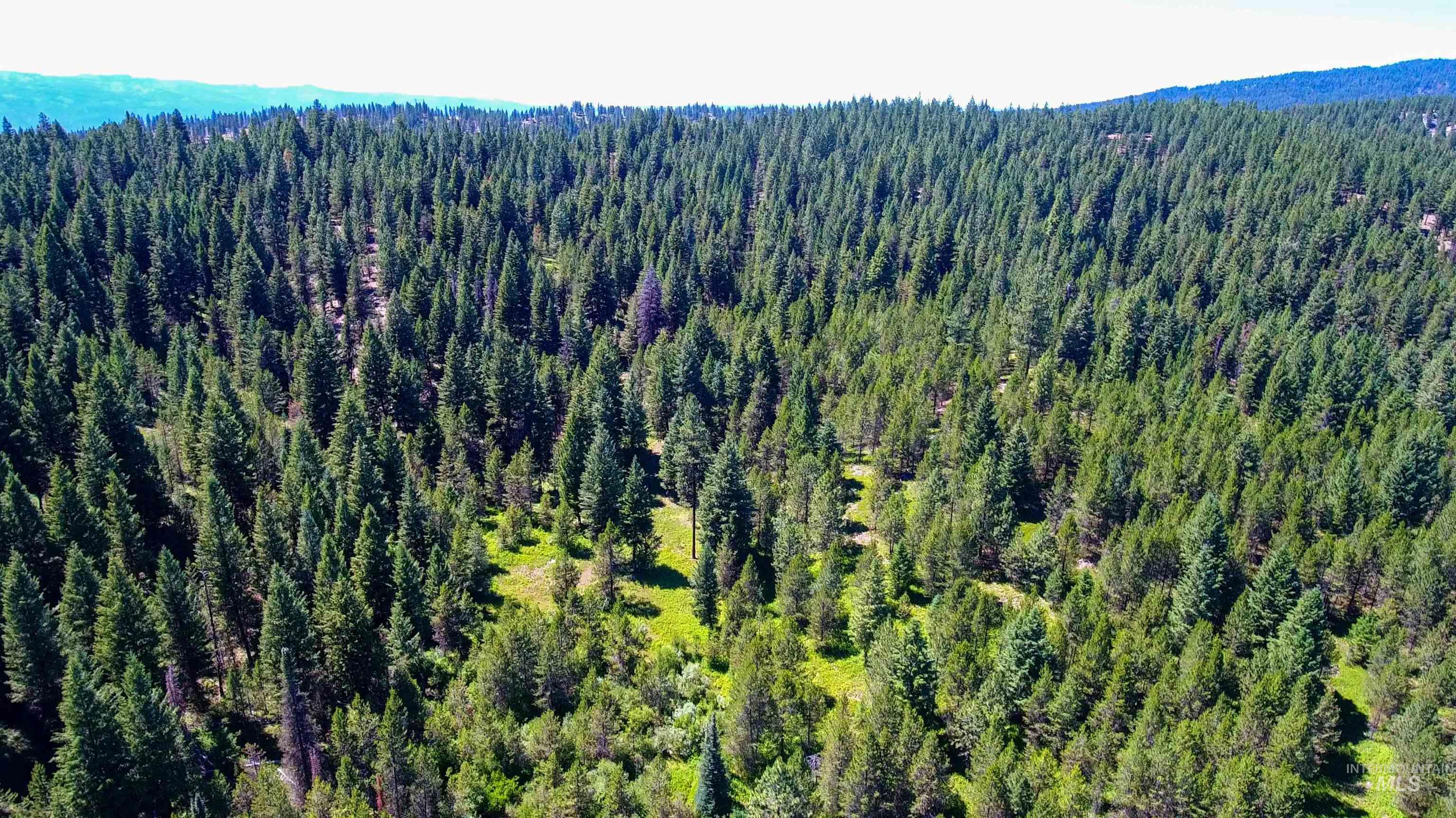 1-3 Horsethief Road Cascade, ID 83611 - Photo 2 of 11