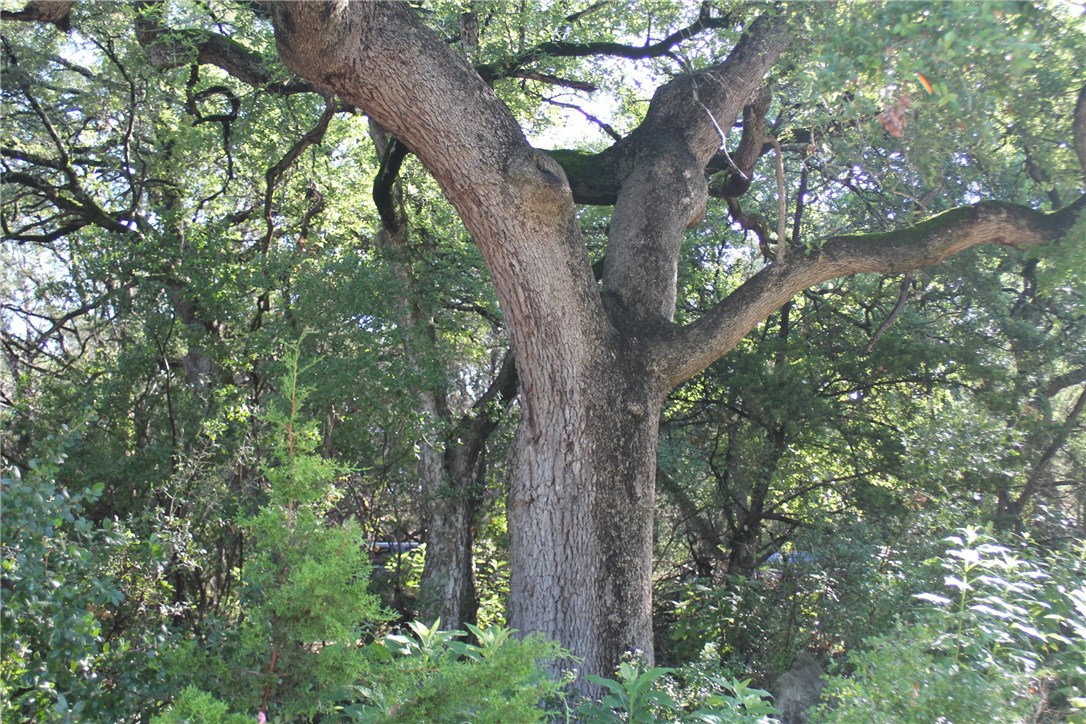 Tbd Valley View Road Wimberley, TX 78676 - Photo 1 of 1 Gallery Image 1