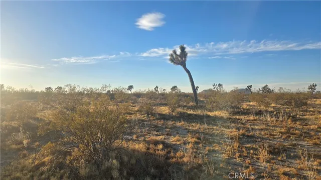 a view of a city with a tree in the background