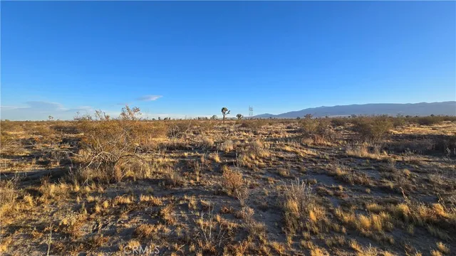 a view of a yard next to a building