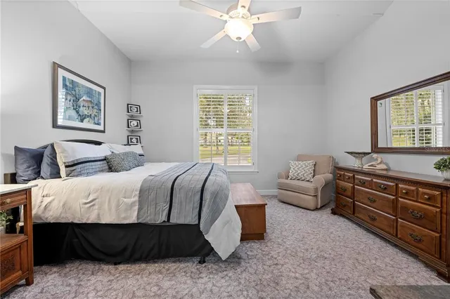 a view of a yard with plants and trees