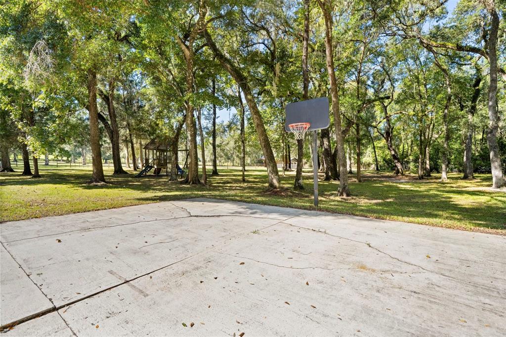 23245 Croom Road Brooksville, FL 34601 - Photo 67 of 79 a backyard of a house with trees