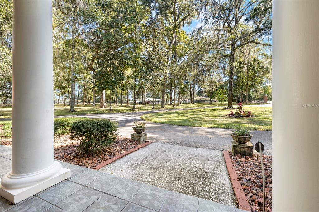 23245 Croom Road Brooksville, FL 34601 - Photo 68 of 79 a view of a yard with plants and trees