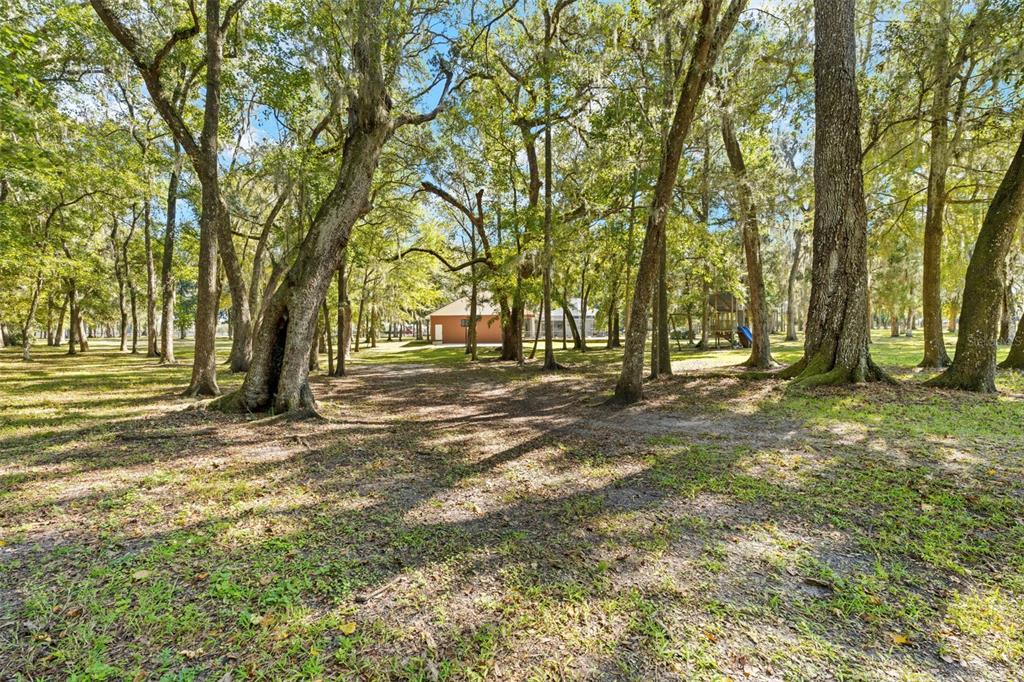 23245 Croom Road Brooksville, FL 34601 - Photo 73 of 79