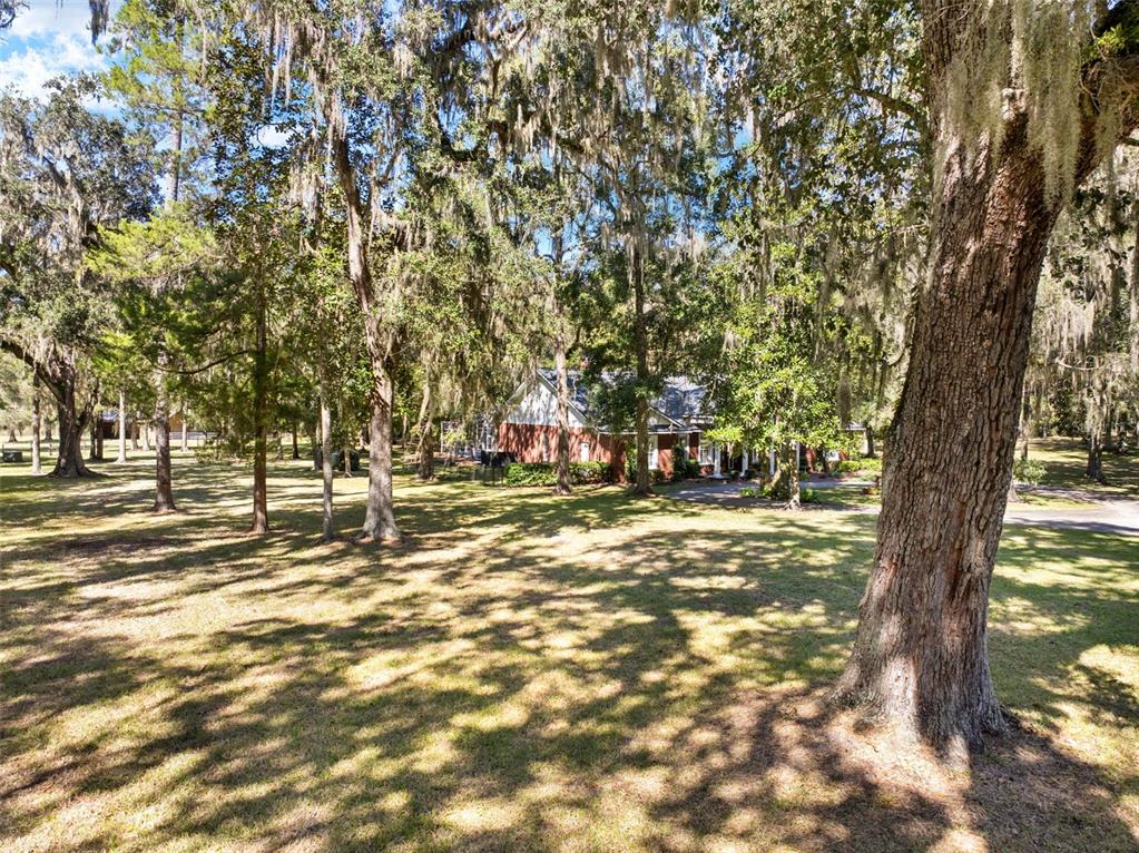23245 Croom Road Brooksville, FL 34601 - Photo 74 of 79 a view of a trees in a yard