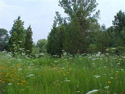 2 168th Avenue Spring Lake, MI 49456 - Photo 1 of 3 Primary Photo
