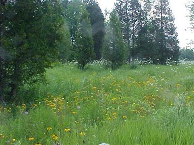 2 168th Avenue Spring Lake, MI 49456 - Photo 2 of 3 Additional Photo
