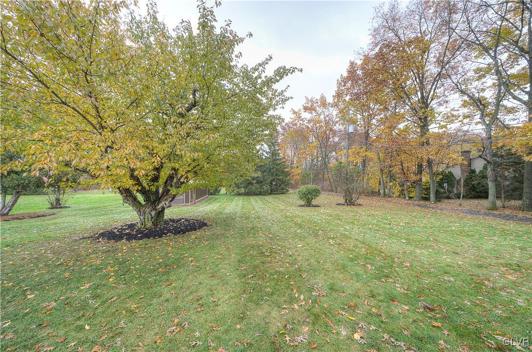 5651 Park Valley Road Schnecksville, PA 18078 - Photo 24 of 32 a big yard with lots of green space and trees