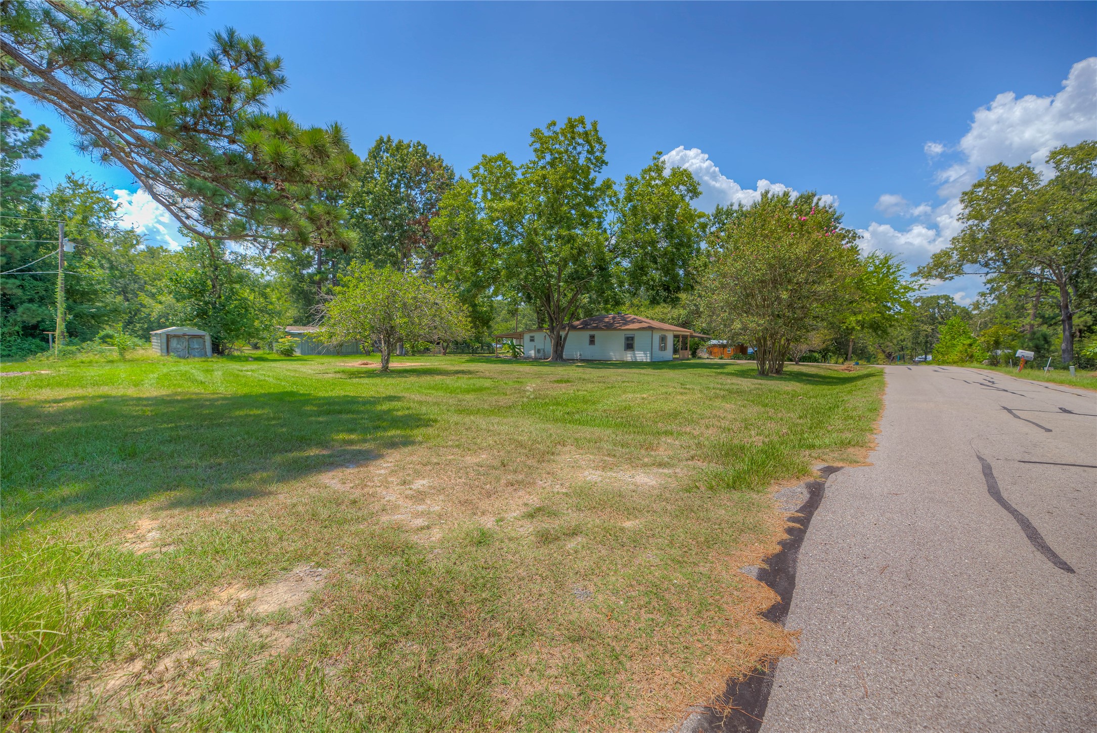 305 Oak Ridge Drive Onalaska, TX 77360 - Photo 21 of 29 a view of a big yard with plants and large trees
