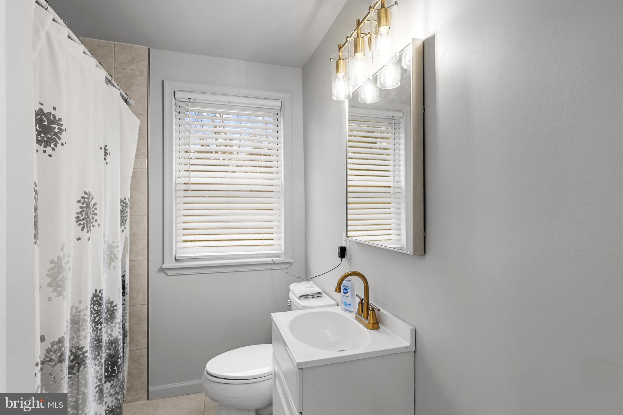 1020 Dartmouth Road Baltimore, MD 21212 - Photo 30 of 46 a bathroom with a sink a toilet and a mirror