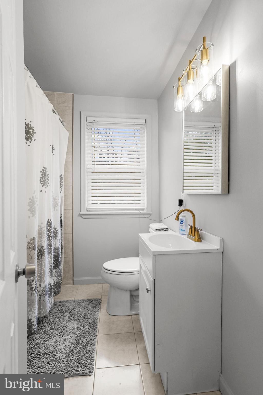 1020 Dartmouth Road Baltimore, MD 21212 - Photo 31 of 46 a bathroom with a sink toilet and window