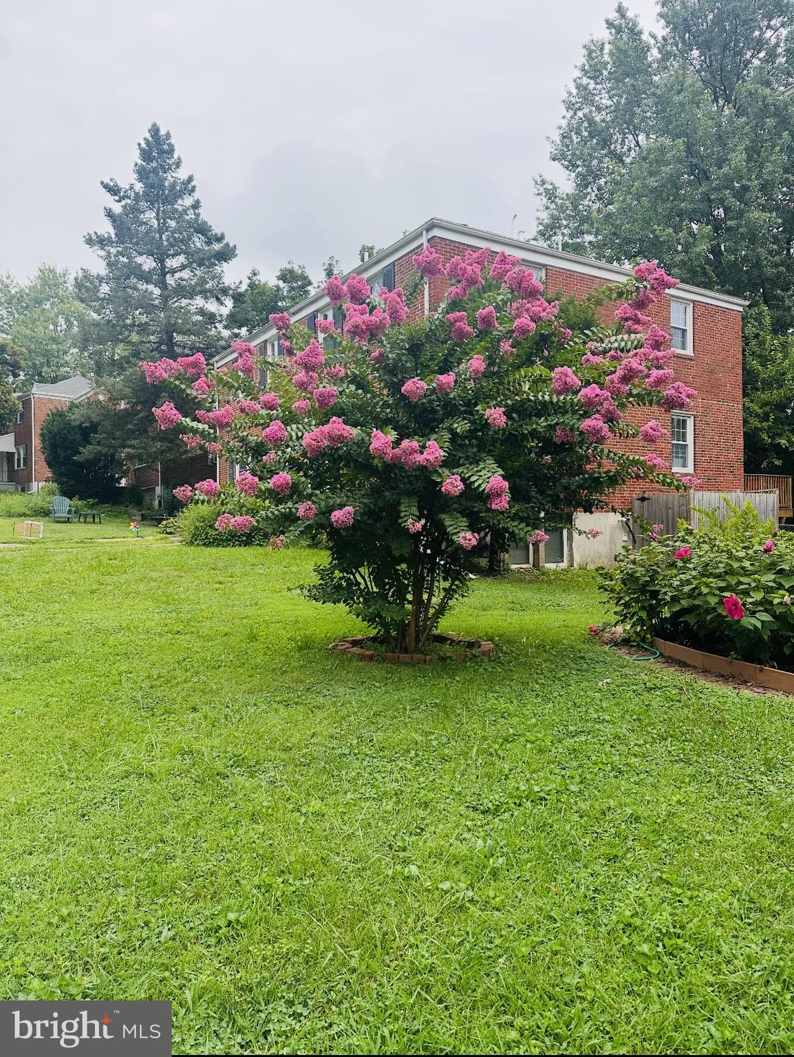 1020 Dartmouth Road Baltimore, MD 21212 - Photo 45 of 46 a view of a house with a big yard and large trees