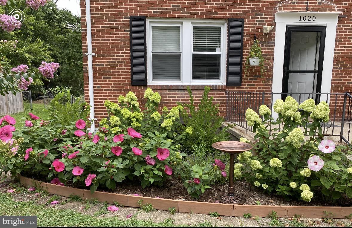 1020 Dartmouth Road Baltimore, MD 21212 - Photo 46 of 46 a bunch of flowers in front of the house