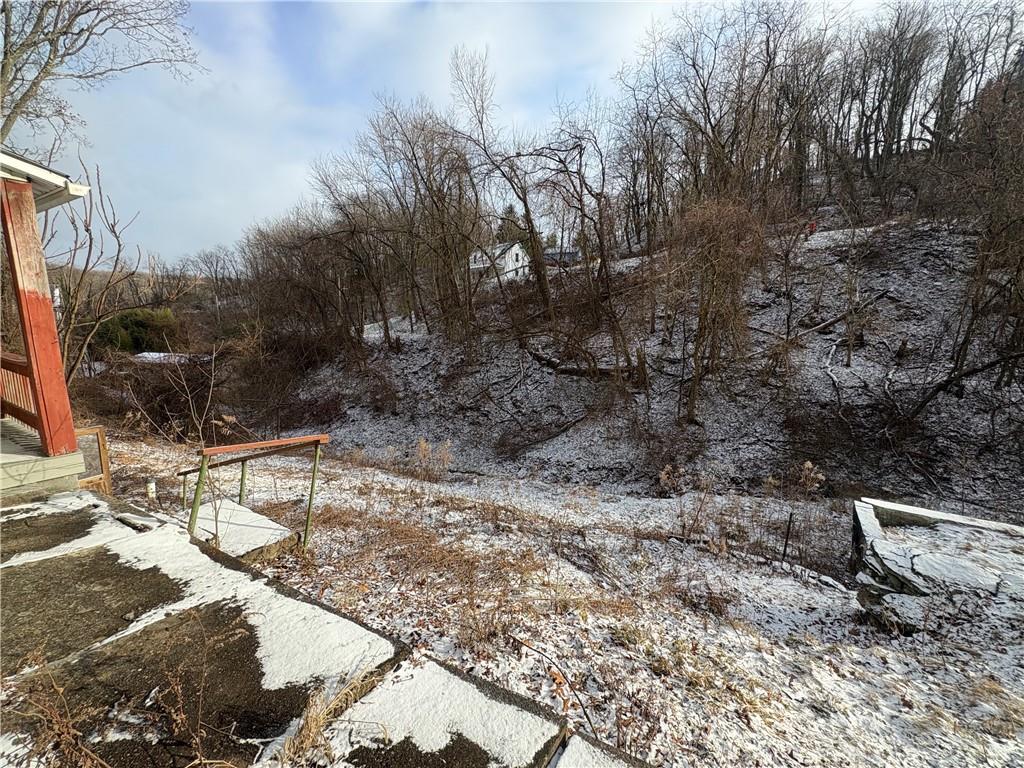 325 15th Street Donora, PA 15033 - Photo 2 of 8 a view of a backyard with plants and trees