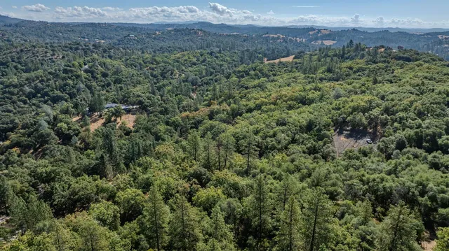 a view of a big yard with lots of green space