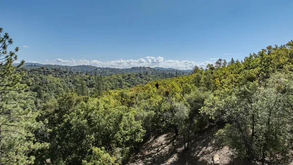 a view of a mountain from a yard