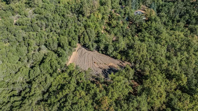 a view of a yard with a tree