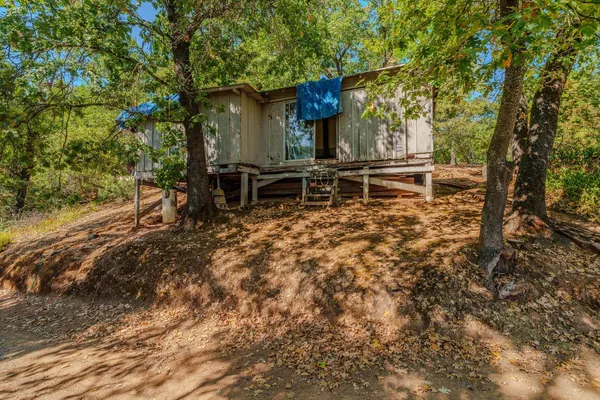 a view of backyard with wooden fence and a large tree