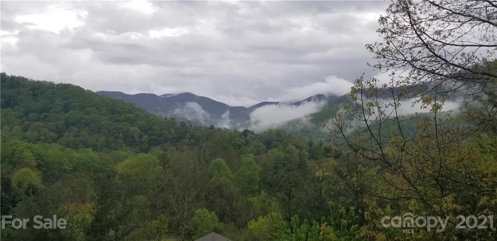 2 Ladyslipper Road Weaverville, NC 28787 - Photo 13 of 30 Gallery Image 13