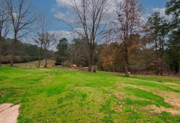 $575,000 | 17081 Ga Highway, Shiloh, GA 31826