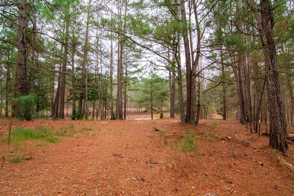 $575,000 | 17081 Ga Highway, Shiloh, GA 31826