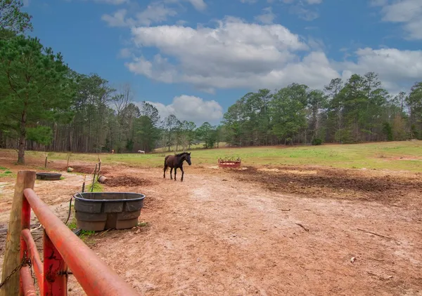 $575,000 | 17081 Ga Highway, Shiloh, GA 31826