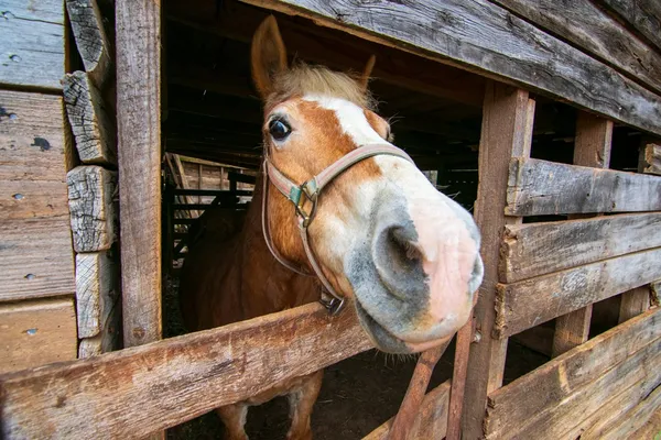 $575,000 | 17081 Ga Highway, Shiloh, GA 31826