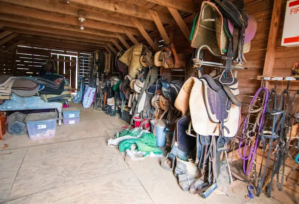 $575,000 | 17081 Ga Highway, Shiloh, GA 31826