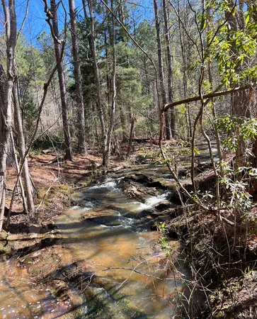 $575,000 | 17081 Ga Highway, Shiloh, GA 31826